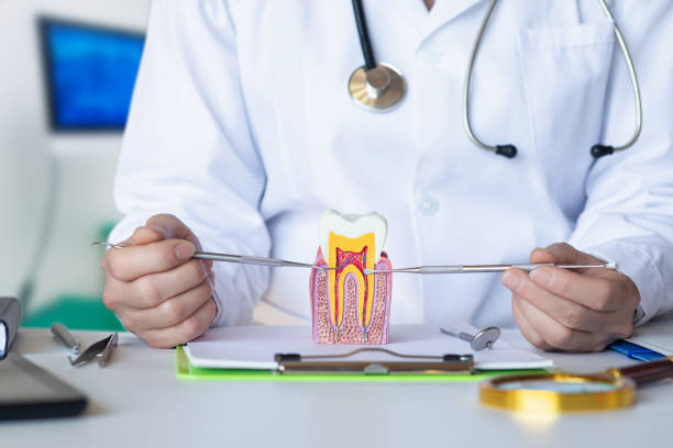 Best Cracked Tooth Emergency Dentist  in Plymouth, PA
